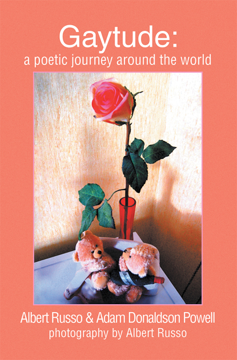 Cover image for book Gaytude