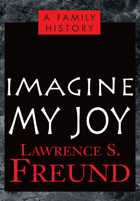 Cover image for book Imagine My Joy