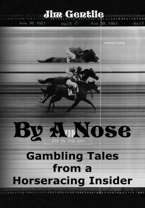 Cover image for book By a Nose