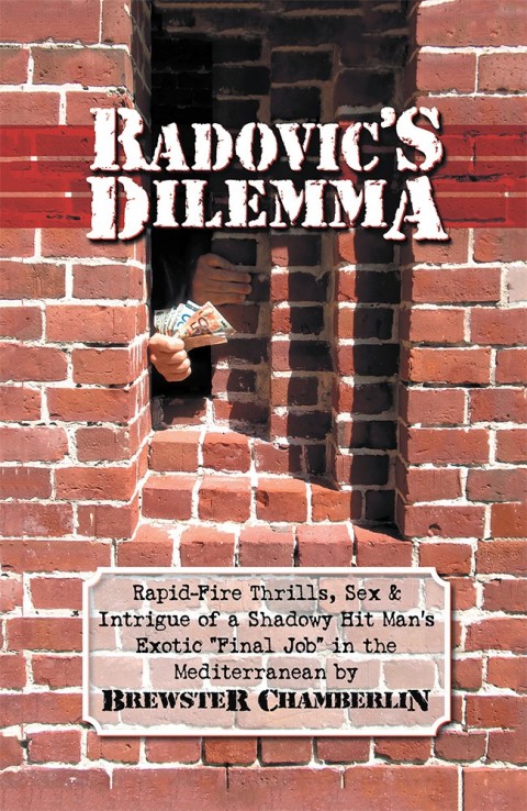 Cover image for book Radovic's Dilemma
