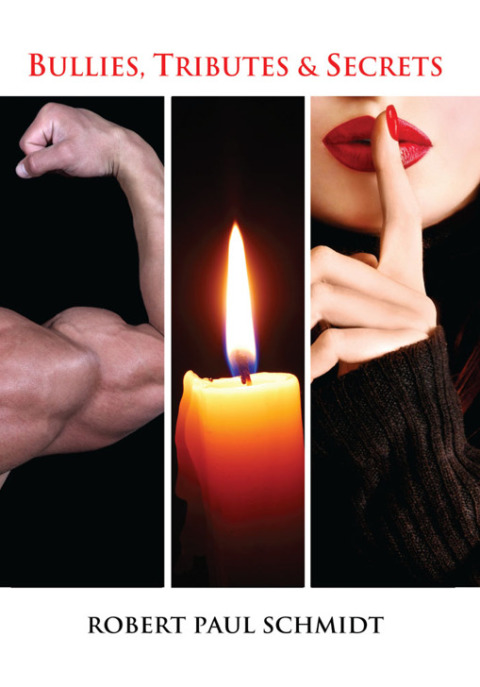 Cover image for book Bullies, Tributes & Secrets