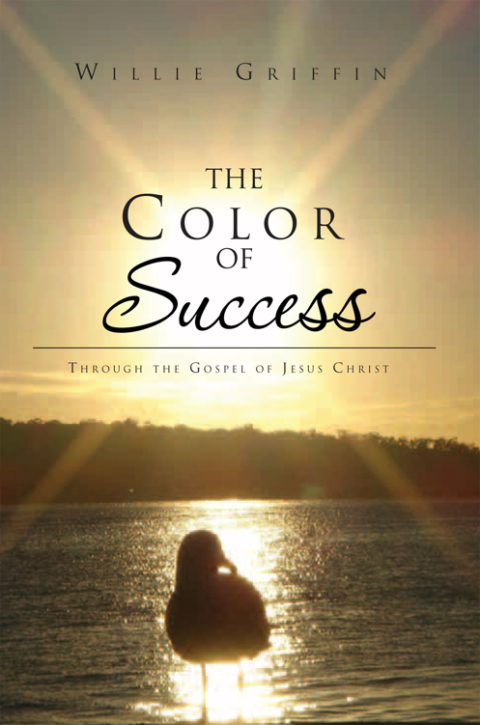 Cover image for book The Color of Success