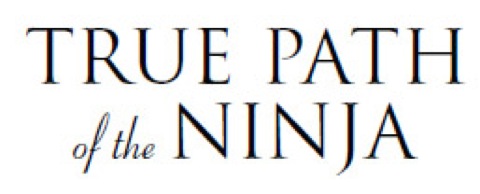 Cover image for book True Path of the Ninja