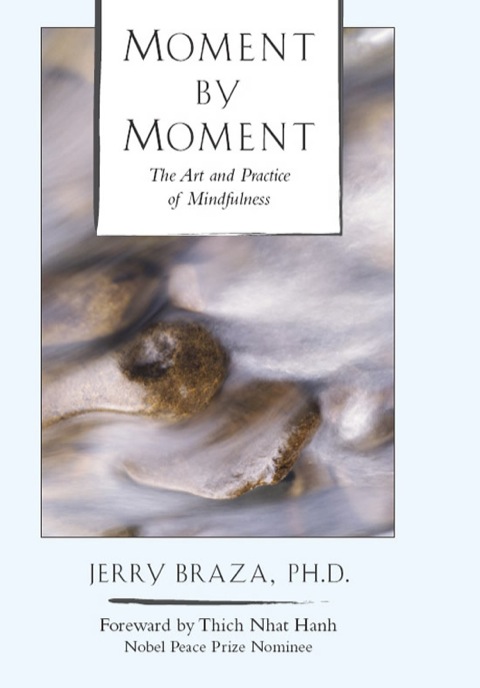 Cover image for book Moment by Moment