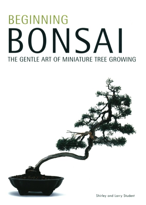 Cover image for book Beginning Bonsai
