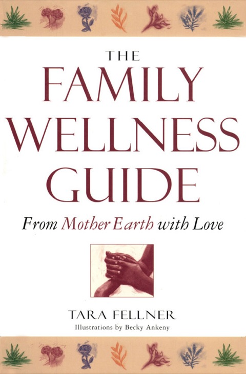 Cover image for book Family Wellness Guide