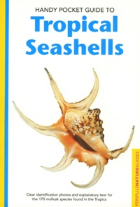 Cover image: Handy Pocket Guide to Tropical Seashells 9780794601935
