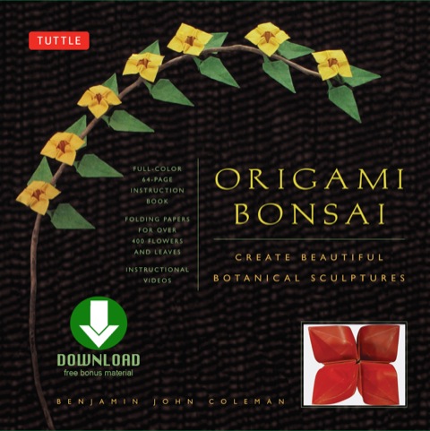 Cover image for book Origami Bonsai