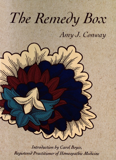 Cover image for book Remedy Box