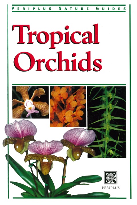 Cover image for book Tropical Orchids of Southeast Asia