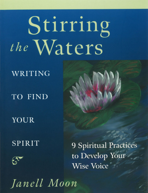 Cover image for book Stirring the Waters