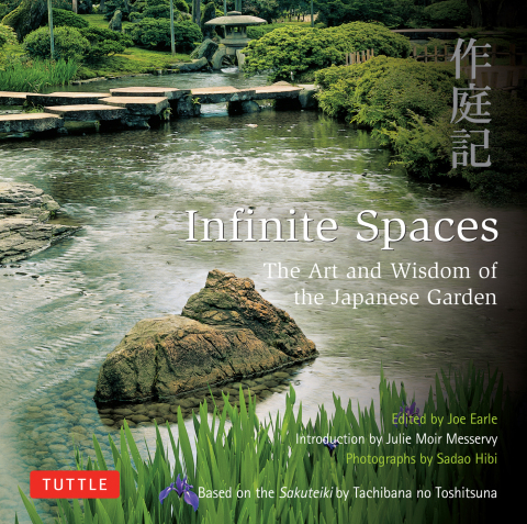 Cover image for book Infinite Spaces