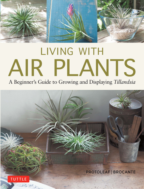 Cover image for book Living with Air Plants