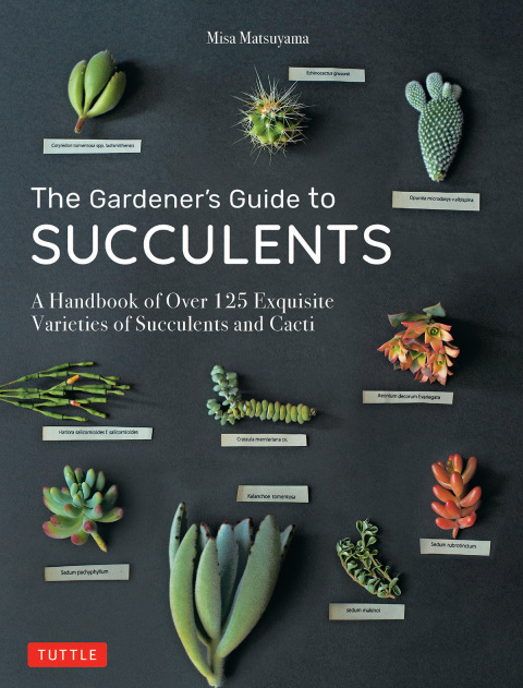 Cover image for book Gardener's Guide to Succulents