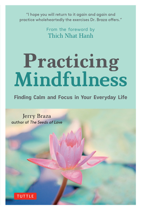 Cover image for book Practicing Mindfulness