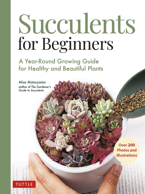 Cover image for book Succulents for Beginners