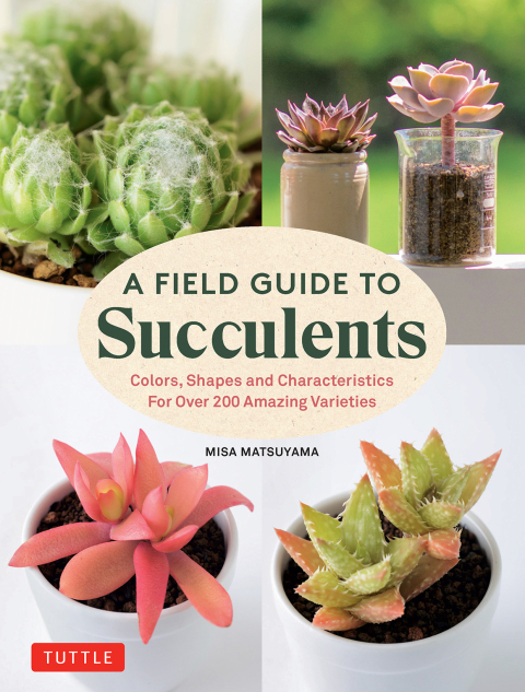 Cover image for book Field Guide to Succulents