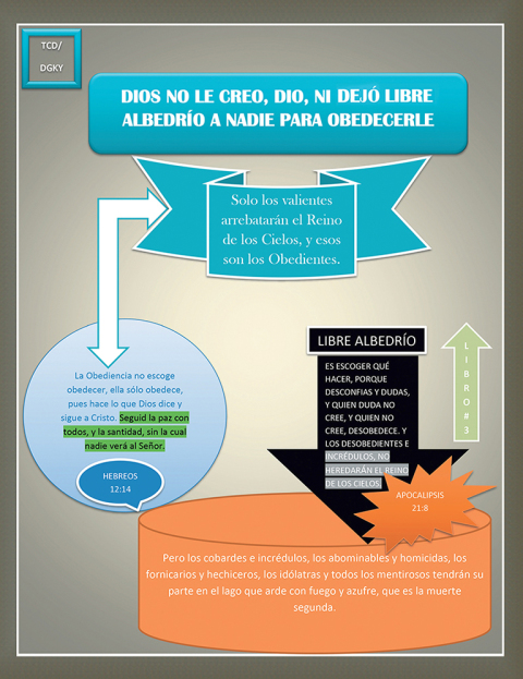 Cover image for book Dios No Le Creo, Dio, Ni Dejó Libre Albedrío a Nadie Para Obedecerle
