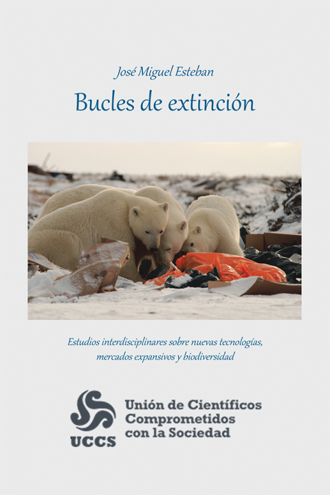 Cover image for book Bucles De Extinción