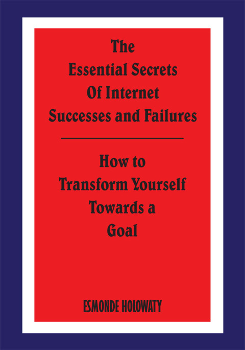 Cover image for book The Essential Secrets of Internet Successes and Failures