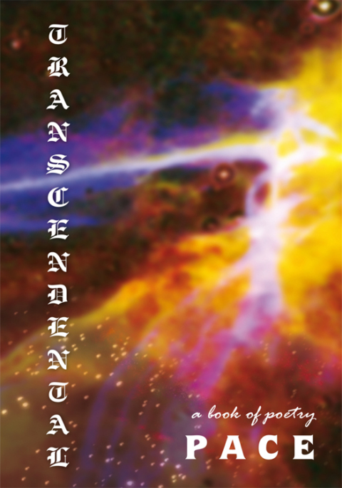 Cover image for book Transcendental