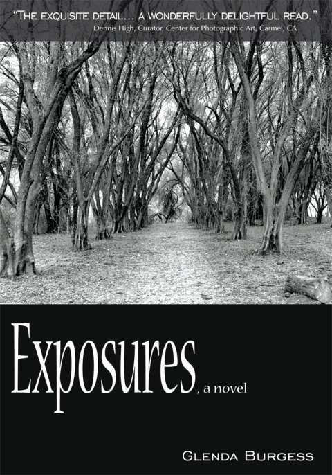 Cover image for book Exposures, a Novel