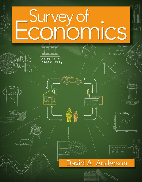 Cover image for book Survey of Economics