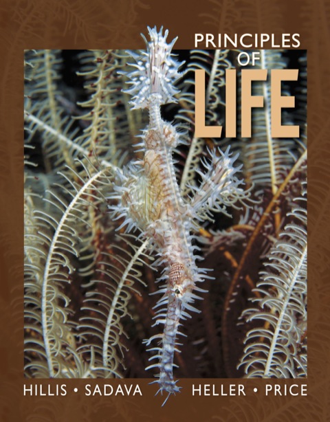 Cover image for book Principles of Life