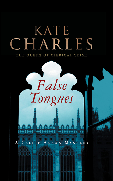 Cover image for book False Tongues