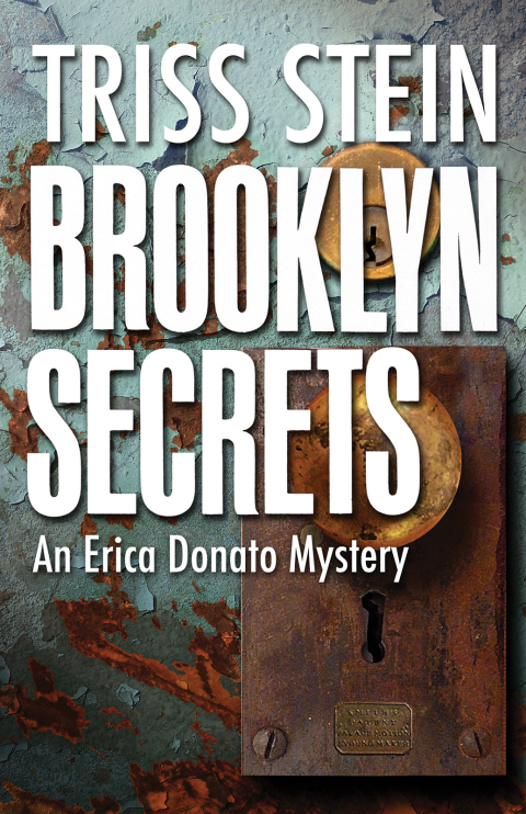 Cover image for book Brooklyn Secrets