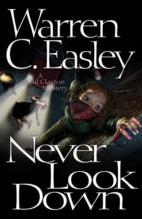 Cover image for book Never Look Down