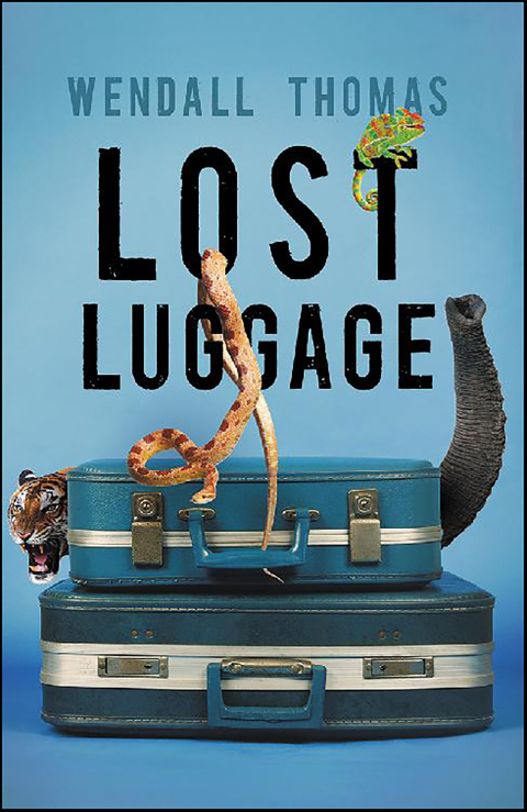 Cover image for book Lost Luggage