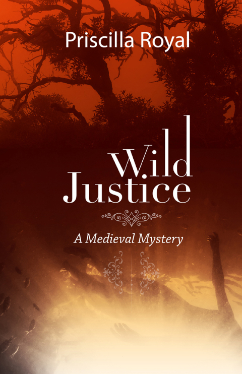 Cover image for book Wild Justice