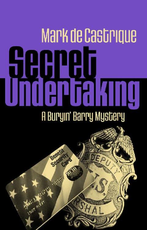 Cover image for book Secret Undertaking