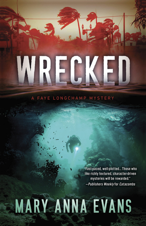 Cover image for book Wrecked