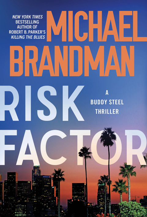 Cover image for book Risk Factor