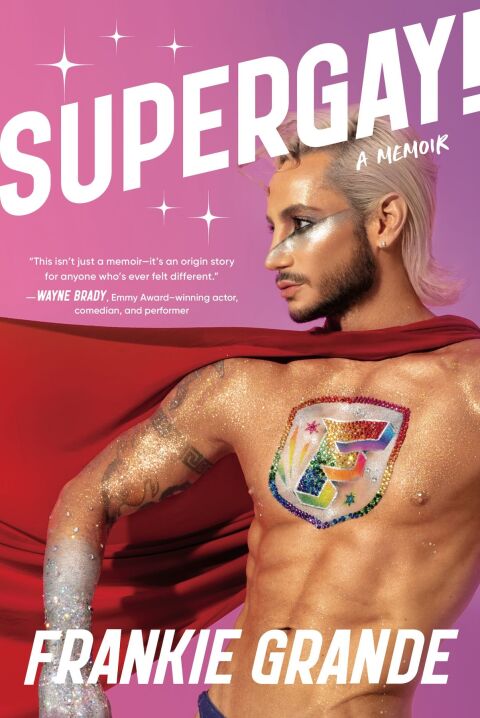 Cover image for book Supergay!