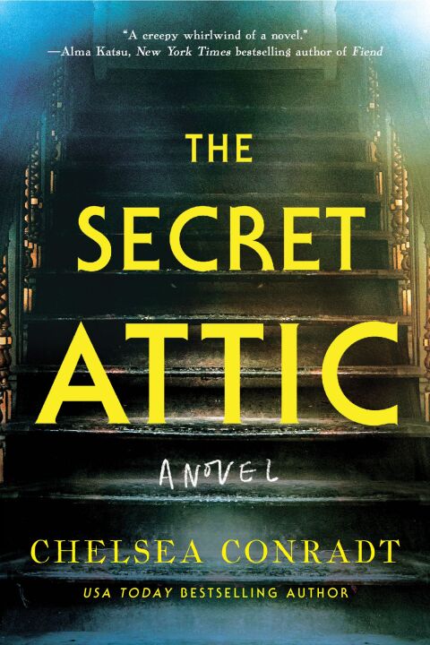Cover image for book The Secret Attic