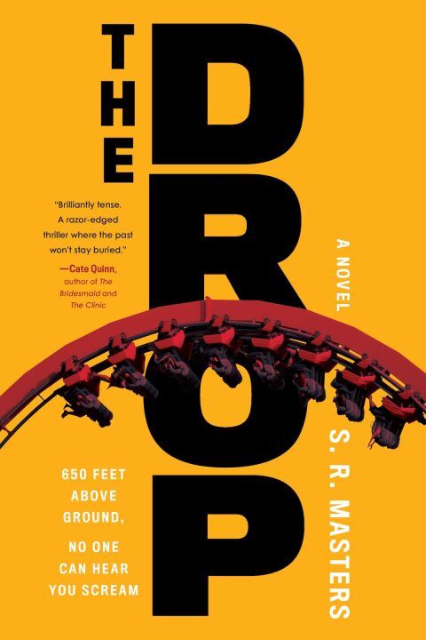Cover image for book The Drop