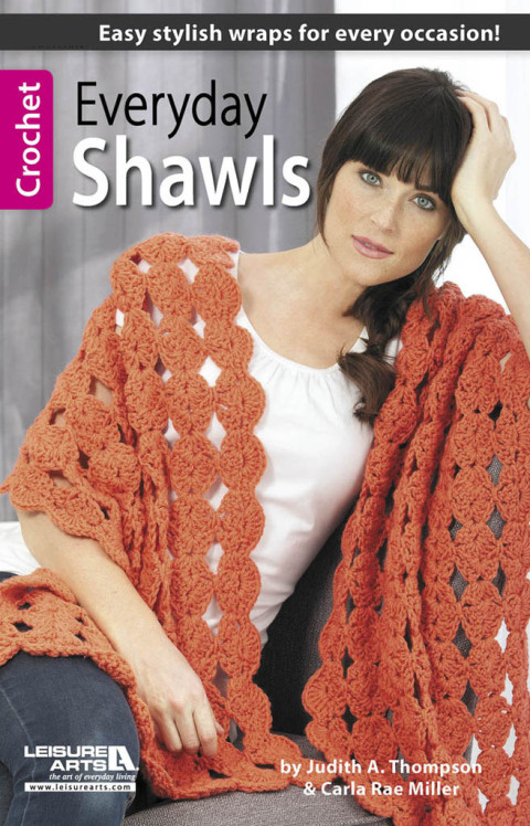 Cover image for book Everyday Shawls