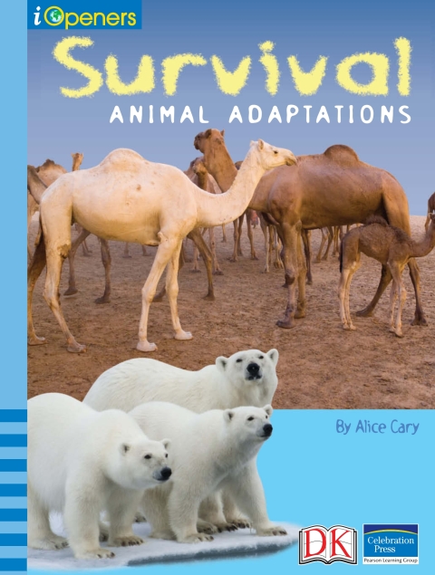 Cover image for book iOpener: Survival: Animal Adaptations
