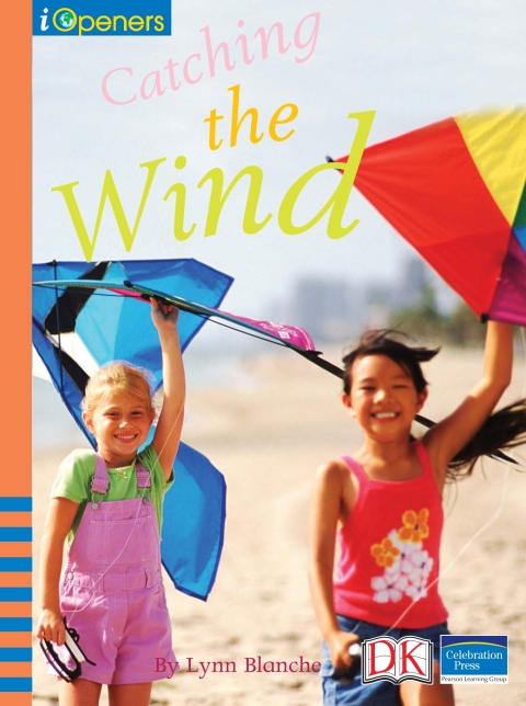 Cover image for book iOpener: Catching the Wind