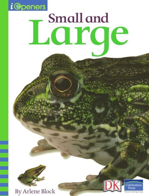 Cover image for book iOpener: Small and Large