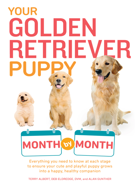 Cover image for book Your Golden Retriever Puppy Month by Month