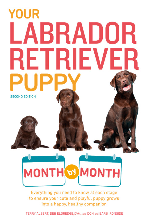 Cover image for book Your Labrador Retriever Puppy Month by Month