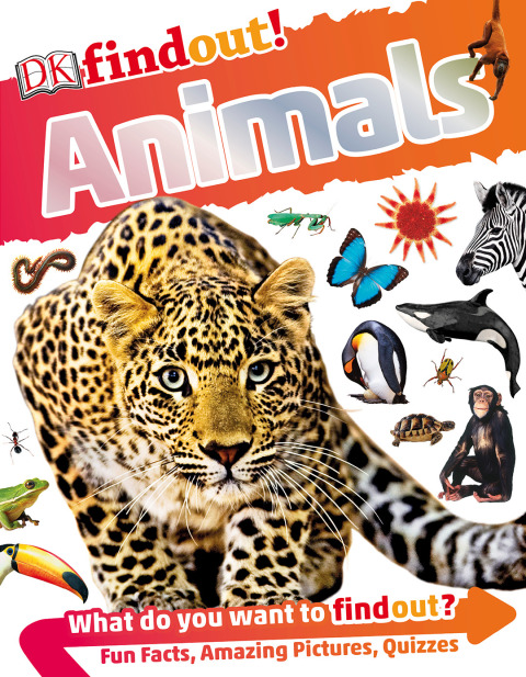 Cover image for book DKfindout! Animals