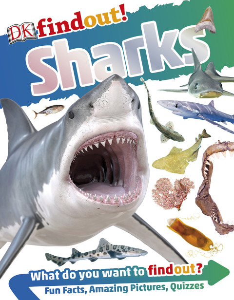 Cover image for book DKfindout! Sharks