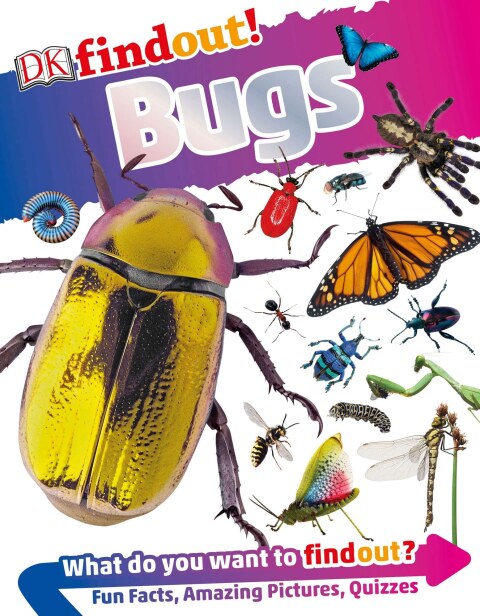 Cover image for book DKfindout! Bugs
