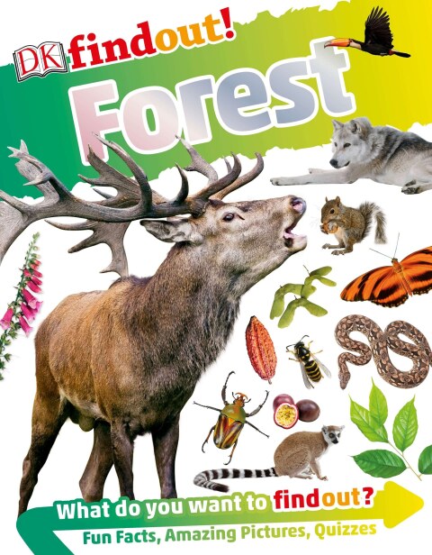 Cover image for book DKfindout! Forest