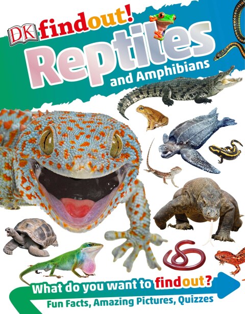 Cover image for book DKfindout! Reptiles and Amphibians